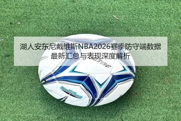 湖人安东尼戴维斯NBA2026赛季防守端数据最新汇总与表现深度解析